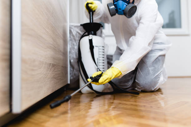 Best Local Pest Control Services  in Clifton Gardens, NY