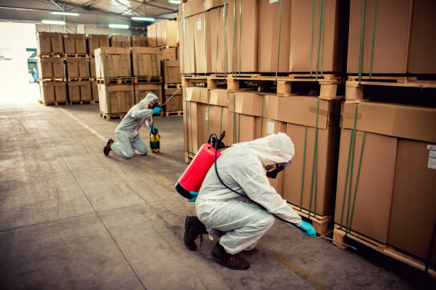 Flea Control Services in Clifton Gardens, NY