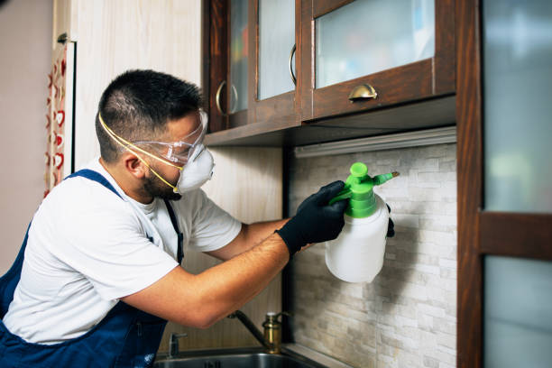 Best Wildlife Control Services  in Clifton Gardens, NY