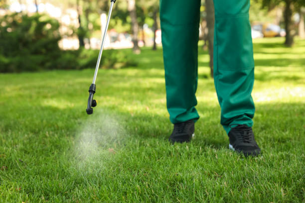 Best Bird Control  in Clifton Gardens, NY