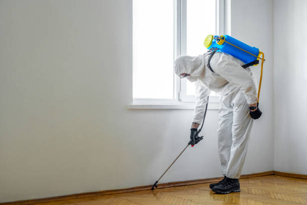 Best Mosquito Control Services  in Clifton Gardens, NY