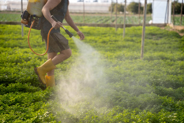 Best Pest Prevention Services  in Clifton Gardens, NY