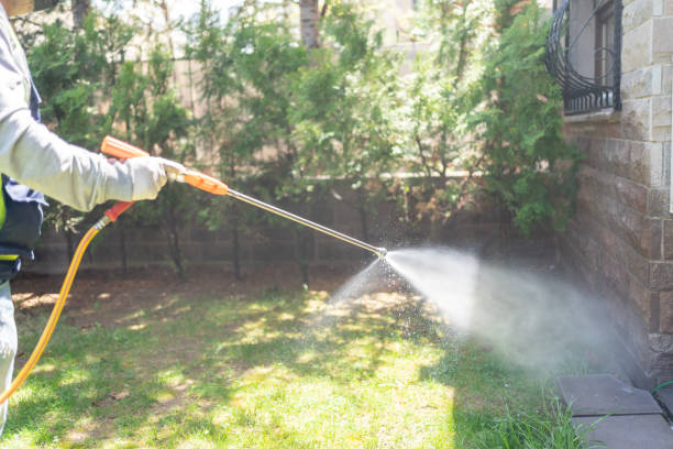 Best Affordable Pest Control Services  in Clifton Gardens, NY
