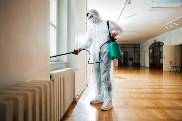 Best Insect Control  in Clifton Gardens, NY