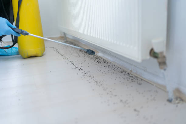 Best Bed Bug Extermination  in Clifton Gardens, NY