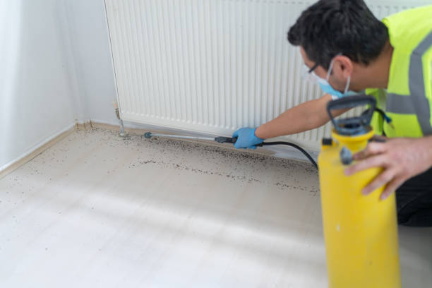 Best Cockroach Control Services  in Clifton Gardens, NY