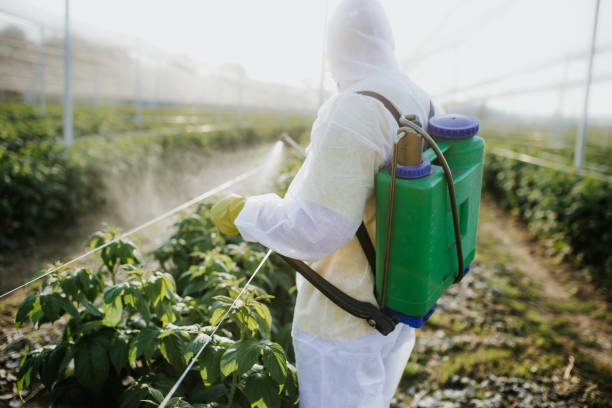 Best Pest Inspection Near Me  in Clifton Gardens, NY